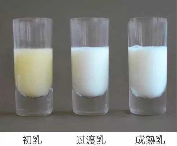 母乳營養(yǎng)成分檢測，母乳分析儀的好處您知多少？