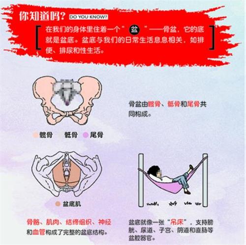 明知道產(chǎn)后盆底肌修復(fù)的重要性，卻不行動(dòng)起來，圖啥呢？