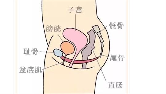 通澤便攜產(chǎn)后康復(fù)治療儀，促進(jìn)產(chǎn)后快速恢復(fù)