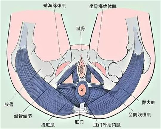 產(chǎn)康門店創(chuàng)業(yè)，開展什么產(chǎn)康項(xiàng)目合適呢？