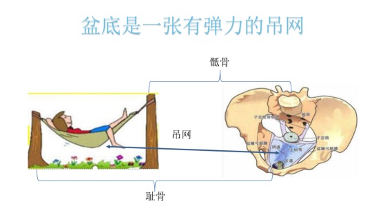 女性盆底康復(fù)要及時(shí)，否則抱憾終身，婦科盆底康復(fù)治療儀幫到您