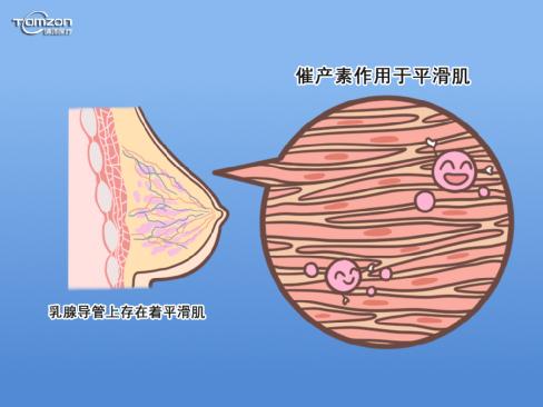  盆底康復(fù)儀器對剖宮產(chǎn)的寶媽發(fā)生哺乳和子宮復(fù)舊問題有幫助