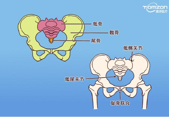 盆底肌康復(fù)儀能不能呵護(hù)健康？