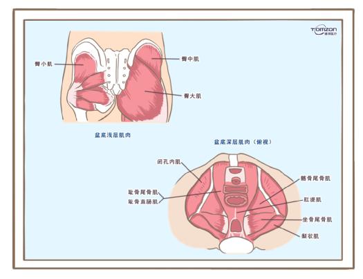 盆底康復(fù)治療儀可以緩解絕經(jīng)后出現(xiàn)的癥狀嗎？